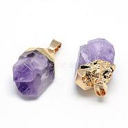 Electroplated Natural Amethyst Pendants, with Iron Findings, Nuggets, Golden, 15~25x15~22x10~15mm, Hole: 6x3.5mm(G-Q481-19G)