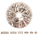 145Pcs 6 Styles Iron Ribbon Crimp Ends, Lead Free, Platinum, 7~8x8~25mm, Hole: 1~2mm, 145pcs/Box(IFIN-CJ0001-49)