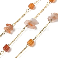 Ion Plating(IP) 304 Stainless Steel Paperclip Chains, with Carnelian Beads, Real 18K Gold Plated, Chip, Soldered, with Spool, 2.5x1x0.1mm, about 32.81 Feet(10m)/Roll(STAS-P368-01G-06)