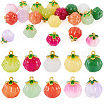 20Pcs 10 Colors Glass Charms, Pumpkin, with Golden Alloy Enamel Findings, Mixed Color, 14.5x13mm, Hole: 1.5mm, 2pcs/color(GLAA-TA0003-85)