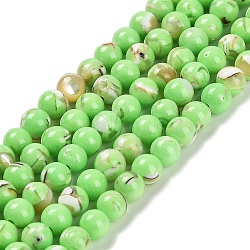 Assembled Synthetic Stone and Trochus Shell Beads Strands, Dyed, Round, Lime, 4~4.5mm, Hole: 0.6mm, about 91pcs/strand, 15.63''(39.7cm)(G-B128-08A-07)