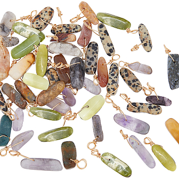50Pcs 5 Styles Natural Mixed Gemstone Pendants, Chip Charms, Twisted with Golden Tone Copper Wire, 17~29x8~10x5.5~9mm, Hole: 2.5~3.2mm, 10 Styles