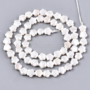 Shell Pearl Beads Strands(SSHEL-N032-21)-2