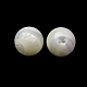 Natural Trochid Shell/Trochus Shell Beads(SH-CBA2978-22)-2