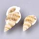 Natural Spiral Shell Beads(SSHEL-R036-15)-2