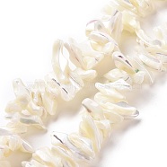 Natural Trochid Shell Beads Strands, Chip, White, 2~11x22~25x5~8mm, Hole: 0.8mm, about 93~148pcs/strand, 14.57~15.94 inch(37~40.5cm)(SSHEL-G023-05B)
