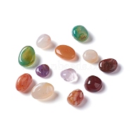 Natural Multi-Color Agate  Beads, Tumbled Stone, Vase Filler Gems, No Hole/Undrilled, Nuggets, Dyed, 6~18x6~10x3~8mm(G-M364-20A)
