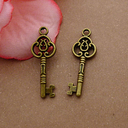 Tibetan Style Alloy Pendants, Skeleton Key, Antique Bronze, 29x10mm(PALLOY-N0118-146)