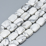 Natural Howlite Bead Strands, Faceted, Rectangle, 11x8x5mm, Hole: 1mm, about 18pcs/strand, 7.8 inch(G-T072-16)