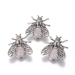 Natural Rose Quartz Brooches, with Alloy Findings, Cicada, Antique Silver, 38x36x8mm, Pin: 0.6mm(G-A176-D09-1)