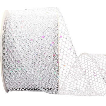 9M Sparkle Polyester Mesh Ribbon with Paillettes, for Costume Decoration, Gift Decoration, Silver, 2-1/2 inch(63mm), about 9.84 Yards(9m)/Roll