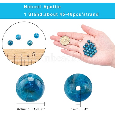 Natural Apatite Beads Strands(G-AR0001-80)-2