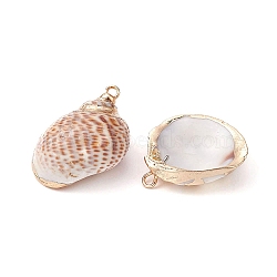 6Pcs 6 Styles Electroplated Natural Spiral Shell Pendants, Shell Charms with Golden Plated Iron Loops, Seashell Color, 18~59x9~24x7~22mm, Hole: 1.2~1.6mm, 1pc/style(SSHEL-YW0001-06)