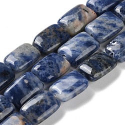 Natural Sodalite Beads Strands, Rectangle, 14~15x10~11x5~5.5mm, Hole: 1~1.2mm, about 28pcs/strand, 16.02 inch(40.7cm)(G-K357-D15-01)