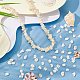 2 Strands Natural Shell Beads Strands(BSHE-BC0001-05)-5