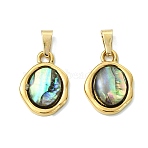 Natural Paua Shell Pendants, 304 Stainless Steel Bezeled Nuggets Charms, Golden, 17x12x3.5mm, Hole: 6x3mm(PALLOY-JF05608)