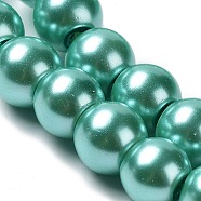 1450Pcs 10 Strands Baking Painted Pearlized Glass Pearl Round Bead Strands , Medium Turquoise, 6~7mm, Hole: 1mm(HY-SZ0001-04)