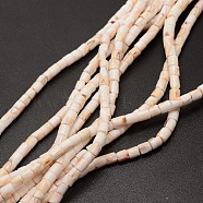 Column Natural Spiral Shell Red Lip Shell Beads Strands, Bisque, 4~5x4~5mm, Hole: 1mm, about 133pcs/strand, 23.6 inch(SHEL-E355-19)