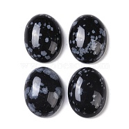 Natural Snowflake Obsidian Cabochons, Oval, 20~20.8x15~15.5x5.8~6.5mm(G-B080-01A-23)