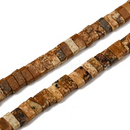 Natural Picture Jasper Beads Strands, 2-Hole, Rectangle, 2.5~3x5x2.5mm, Hole: 0.8mm, about 138~140pcs/strand, 15.28''~15.31''(38.8~38.9cm)(G-Z045-A09-01)