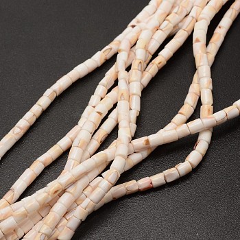 Column Natural Spiral Shell Red Lip Shell Beads Strands, Bisque, 4~5x4~5mm, Hole: 1mm, about 133pcs/strand, 23.6 inch