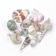 Sea Shell Pendants, Natural Color, with Jump Ring, Natural Color, Mixed Style, 17~63x12~50x6~21mm, Hole: 5.5mm(SSHEL-Q300-004)