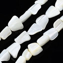 Natural Trochid Shell/Trochus Shell Beads Strands, Chip, Bleach, Seashell Color, 8~10x7~14x3~7mm, Hole: 0.7mm, about 44~45pcs/strand, 15.94 inch(40.5cm)(SSHEL-S266-006)