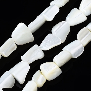 Natural Trochid Shell/Trochus Shell Beads Strands, Chip, Bleach, Seashell Color, 8~10x7~14x3~7mm, Hole: 0.7mm, about 44~45pcs/strand, 15.94 inch(40.5cm)