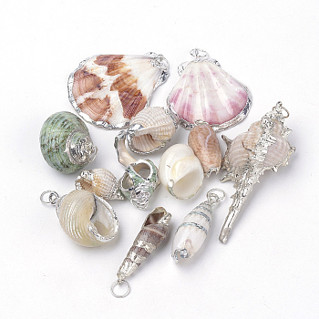 Sea Shell Pendants, Natural Color, with Jump Ring, Natural Color, Mixed Style, 17~63x12~50x6~21mm, Hole: 5.5mm