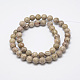 Natural Fossil Coral Beads Strands(G-G735-52-8mm)-2