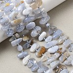 Natural Blue Lace Agate Beads Strands, Nuggets, with Seed Beads, 9~16x4~8x3~8mm, Hole: 0.9mm, about 47~55pcs/strand, 15.35~16.14''(39~41cm)(G-L649-A02-01)