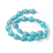 Synthetic Turquoise Beads Strands, Turtle, Dyed & Heated, Dark Turquoise, 18.5x15x8mm, Hole: 1.5mm, about 22pcs/strand, 15.24''(38.7cm)(G-YW0001-50A)