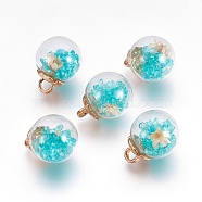 Glass Ball Pendants, with CCB Plastic Findings, Random Dried Flower and Rhinestone, Turquoise, 20x15.5mm, Hole: 3.5mm(GLAA-N0020-02F)