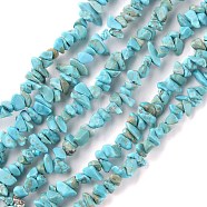 Natural Howlite Beads Strands, Chip, 1.5~4.5x3~13x2.5~8mm, Hole: 0.6mm, 30.94~31.97 inch(78.6~81.2cm)(X-G-G0003-B21)
