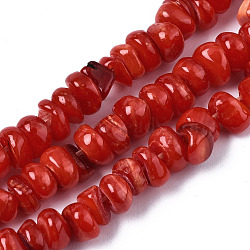 Natural Freshwater Shell Beads Strands, Dyed, Nuggets Chips, FireBrick, 6~7x5~7x2~5mm, Hole: 0.9mm, about 50~54pcs/strand, 7.48 inch(19cm)(SHEL-S278-041)