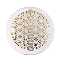 Flat Round Natural Selenite Slice Coasters, Reiki Stone for Chakra Balance, Crystal Healing , Flower, 59.5~64x6.5~8mm(DJEW-C015-02A)