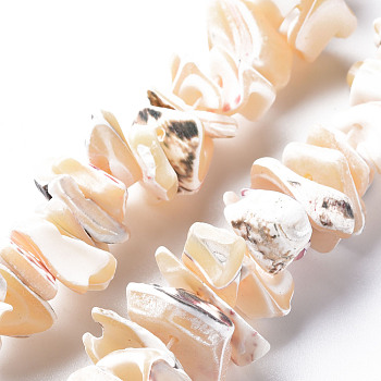 Natural Trochid Shell/Trochus Shell Bead Strands, Nuggets, 8~16x7~13x2~15mm, Hole: 1.2mm, about 39~46pcs/strand, 6.89 inch~7.28 inch(17.5~18.5cm)
