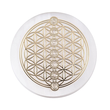 Flat Round Natural Selenite Slice Coasters, Reiki Stone for Chakra Balance, Crystal Healing , Flower, 59.5~64x6.5~8mm
