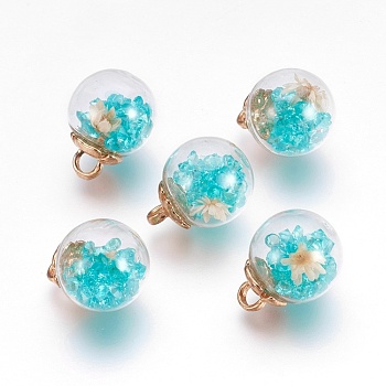 Glass Ball Pendants, with CCB Plastic Findings, Random Dried Flower and Rhinestone, Turquoise, 20x15.5mm, Hole: 3.5mm