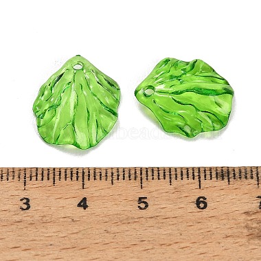 Transparent Acrylic Pendants(AC-CBA5040-01F)-3