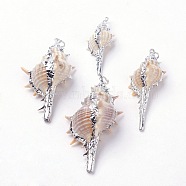 Electroplate Spiral Shell Pendants, with Iron Findings, Conch, Platinum, 32~72x14~35x12~21mm, Hole: 2mm(BSHE-L036-08)