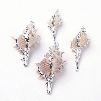 Electroplate Spiral Shell Pendants, with Iron Findings, Conch, Platinum, 32~72x14~35x12~21mm, Hole: 2mm
