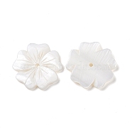 Natural White Shell Beads, Freshwater Shell Beads, Flower, Seashell Color, 23.5~24x24.3~25x2.3~2.8mm, Hole: 1.8mm(SSHEL-C011-08)