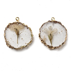 Gold Foil Inner Dried Flower Resin Pendants, Flat Round Charms with Light Gold Plated Brass Edge and Iron Loops, Tan, 34~36x30~31.5x4.5~5.5mm, Hole: 2mm(RESI-P028-01KCG-02)
