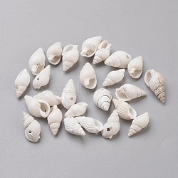 Spiral Shell Beads, White, 15~20x7~10x6~8mm, Hole: 1~1.5mm, about 930~1000pcs/500g(BSHE-L037-03)