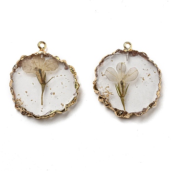 Gold Foil Inner Dried Flower Resin Pendants, Flat Round Charms with Light Gold Plated Brass Edge and Iron Loops, Tan, 34~36x30~31.5x4.5~5.5mm, Hole: 2mm