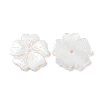 Natural White Shell Beads, Freshwater Shell Beads, Flower, Seashell Color, 23.5~24x24.3~25x2.3~2.8mm, Hole: 1.8mm