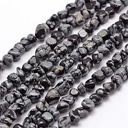 Natural Snowflake Obsidian Beads Strands, Chip, 3~5x3~5x3~8mm, Hole: 1mm, about 85~90pcs/strand, 15.7 inch(40cm)(G-F465-11)