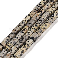 Natural Dalmatian Jasper Beads Strands, Column, 7.5~8.5x5~6mm, Hole: 1mm, about 45~46pcs/strand, 14.69~15.04 inch(37.3~38.2cm)(G-C128-A18-01)