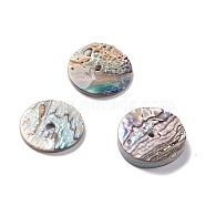 Sea Shell Charms, Flat Round, Colorful, 14x1.5mm, Hole: 2mm(SSHEL-C008-14)